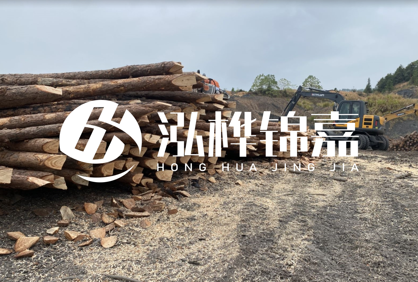 松木樁尾徑是什么意思？
