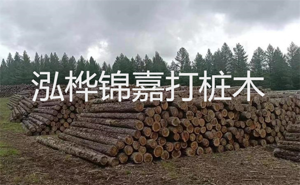 選擇紅磚護(hù)坡，打造獨(dú)特的美麗景觀
