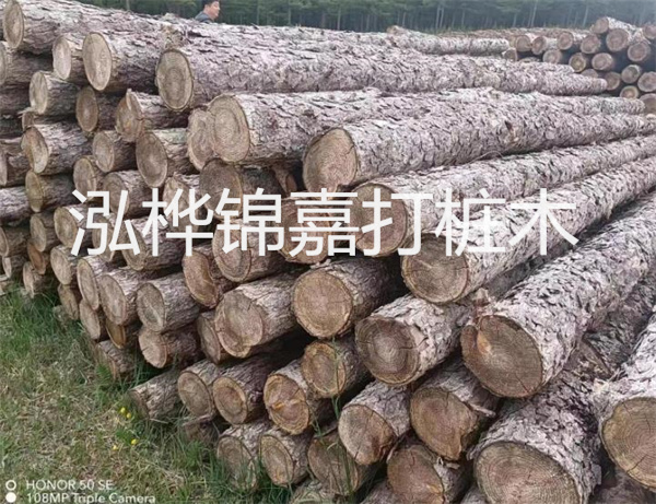 高效修補(bǔ)，保駕護(hù)航！水泥路面高強(qiáng)度修補(bǔ)料為您解決煩惱！