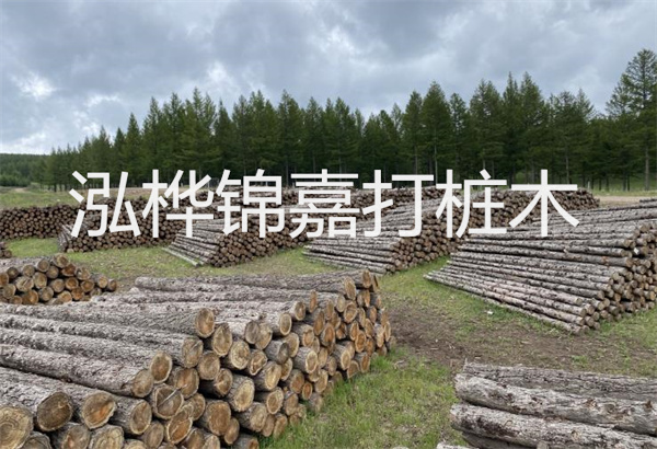 預(yù)制松木樁施工工藝：優(yōu)質(zhì)材料，高效快速，堅(jiān)固耐用