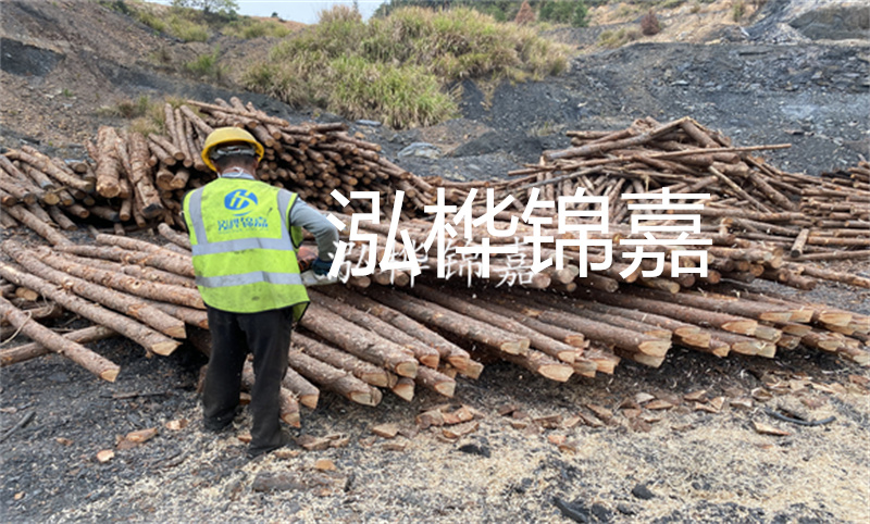 哪里松木樁最便宜？