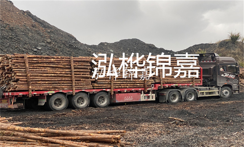 云南哪里有松木樁？實(shí)用指南，助您選購(gòu)優(yōu)質(zhì)木材！
