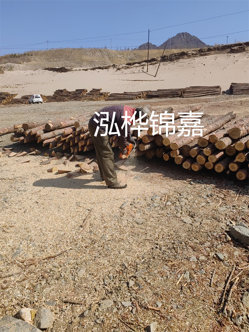 松木樁哪里有賣？挑選松木樁要注意什么？